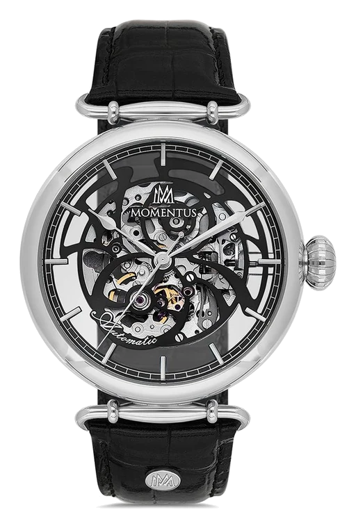 Momentus TM270S İskelet